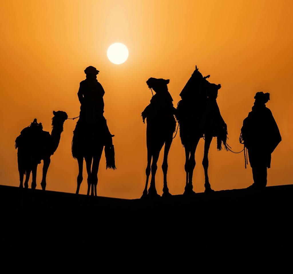 Why the Silk&nbsp;Road?